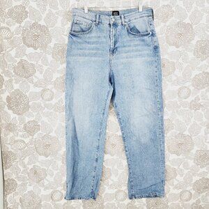 BDG Light Blue Straight Leg Jeans